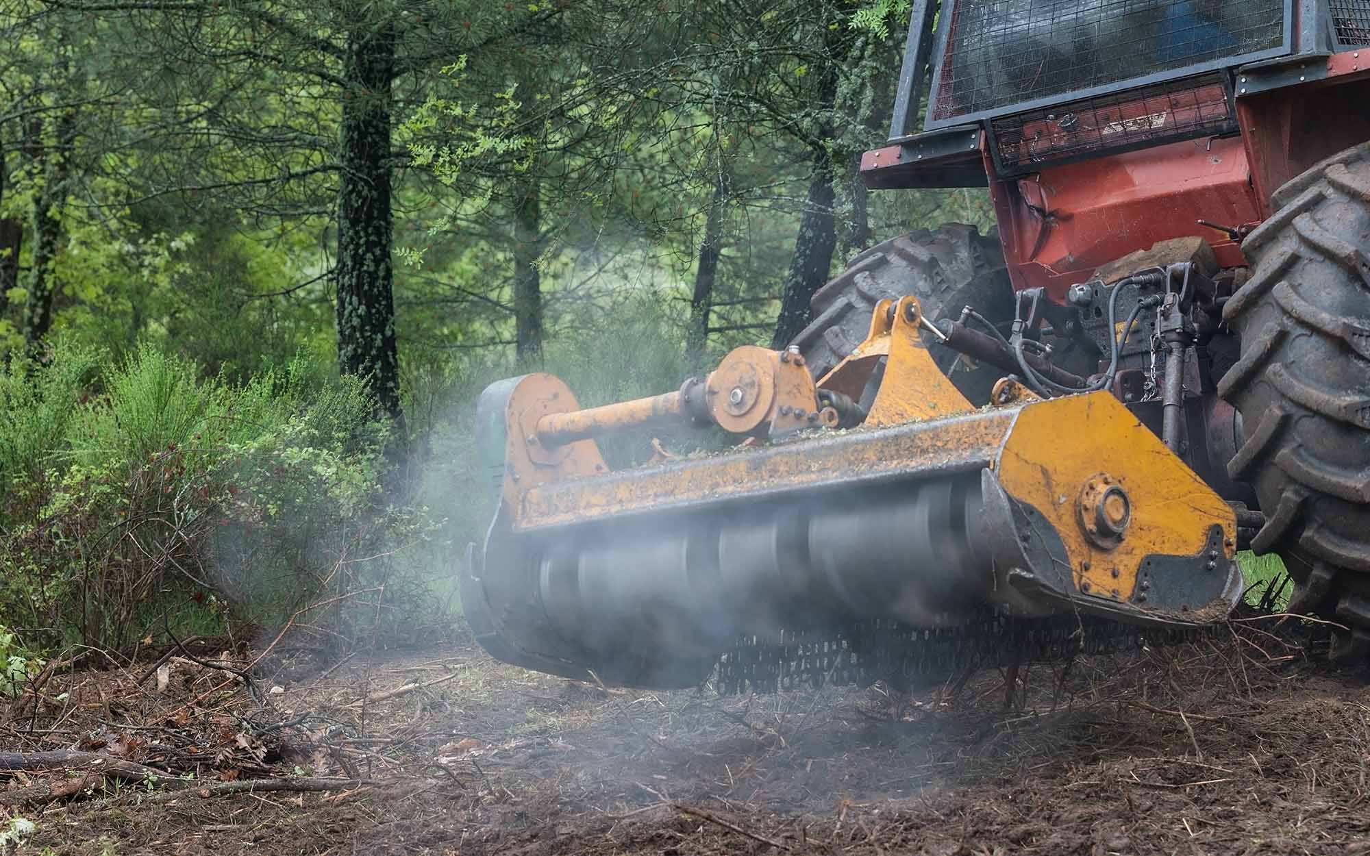 Forestry Mulching Done the Right Way